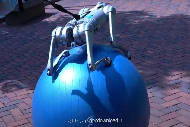 کمک انویدیا به سگ های رباتیک برای حفظ تعادل حتی روی توپ بادی