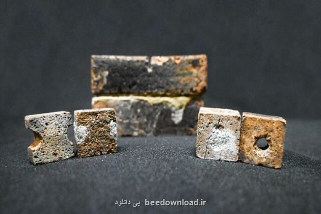 باکتری هایی که مقرر است روی ماه شهرسازی کنند
